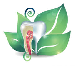 Studies Show Holistic Connections Between Dental Health And General Health